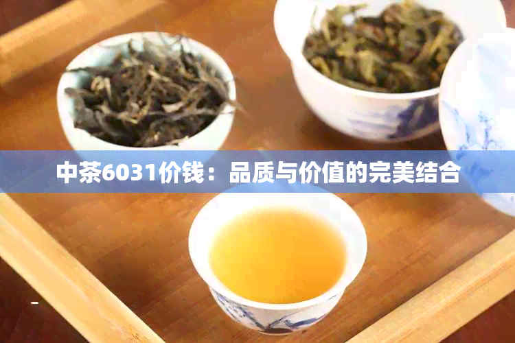 中茶6031价钱：品质与价值的完美结合