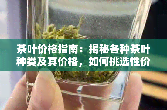 茶叶价格指南：揭秘各种茶叶种类及其价格，如何挑选性价比更高的茶品？