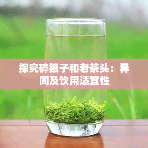 探究碎银子和老茶头：异同及饮用适宜性