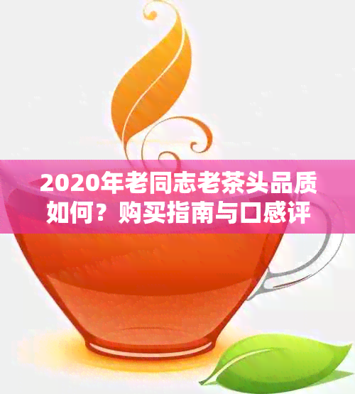 2020年老同志老茶头品质如何？购买指南与口感评价一应俱全！