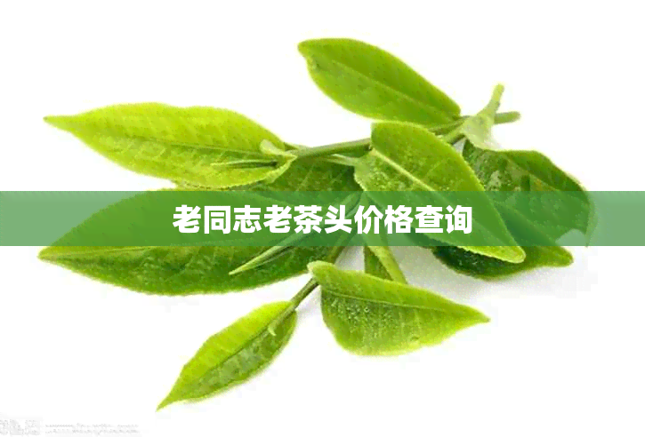 老同志老茶头价格查询