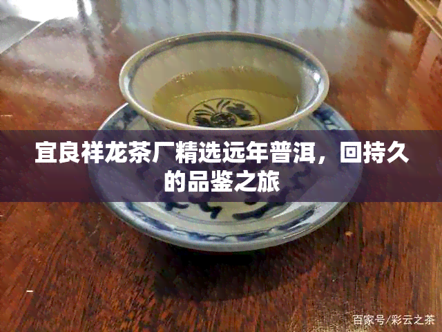 宜良祥龙茶厂精选远年普洱，回持久的品鉴之旅