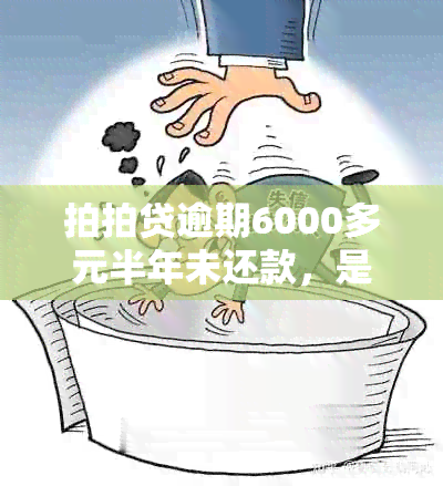 拍拍贷逾期6000多元半年未还款，是否真的会被起诉？用户可能需要了解的详情