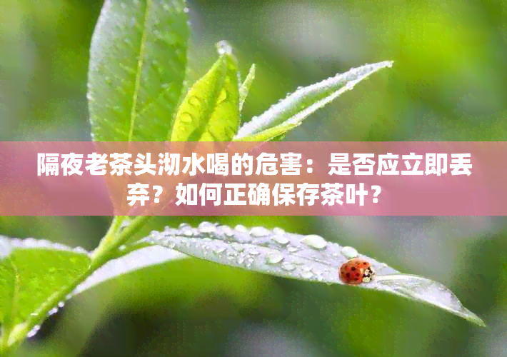 隔夜老茶头沏水喝的危害：是否应立即丢弃？如何正确保存茶叶？