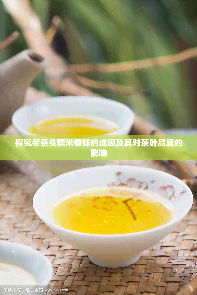 探究老茶头糯米香味的成因及其对茶叶品质的影响