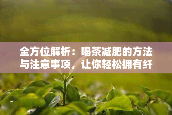 全方位解析：喝茶减肥的方法与注意事项，让你轻松拥有纤瘦身材