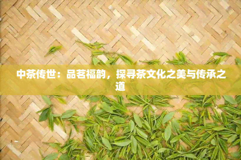 中茶传世：品茗福韵，探寻茶文化之美与传承之道