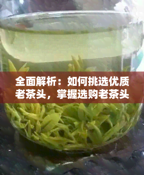 全面解析：如何挑选优质老茶头，掌握选购老茶头的技巧与注意事项