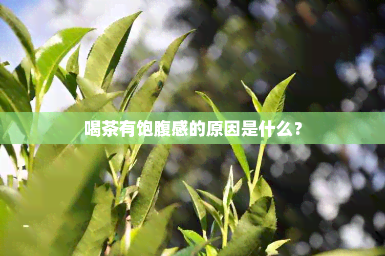 喝茶有饱腹感的原因是什么？