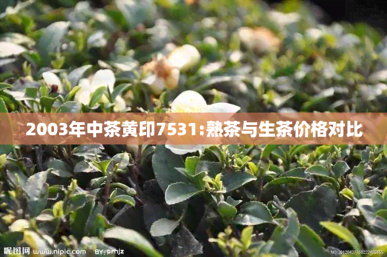 2003年中茶黄印7531:熟茶与生茶价格对比