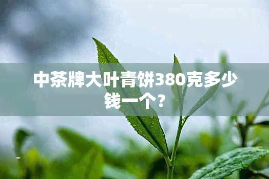 中茶牌大叶青饼380克多少钱一个？