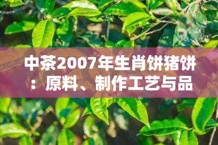 中茶2007年生肖饼猪饼：原料、制作工艺与品尝体验的全面解析