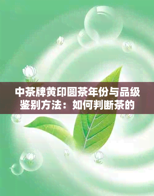 中茶牌黄印圆茶年份与品级鉴别方法：如何判断茶的新程度和质量等级？