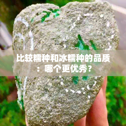 比较糯种和冰糯种的品质：哪个更优秀？