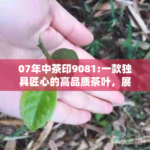 07年中茶印9081:一款独具匠心的高品质茶叶，展现传统与创新的完美融合