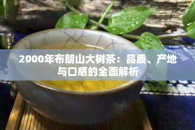 2000年布朗山大树茶：品质、产地与口感的全面解析