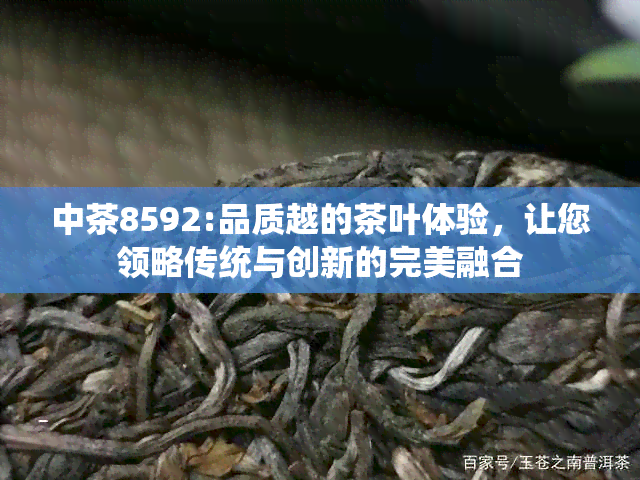 中茶8592:品质越的茶叶体验，让您领略传统与创新的完美融合