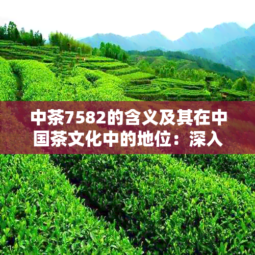 中茶7582的含义及其在中国茶文化中的地位：深入了解这款名茶的背景与特色