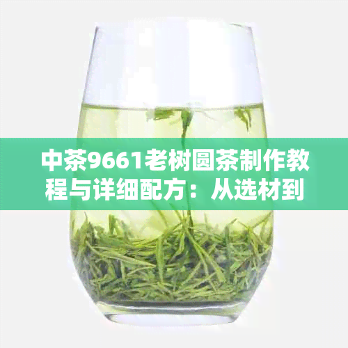 中茶9661老树圆茶制作教程与详细配方：从选材到冲泡的全方位指南