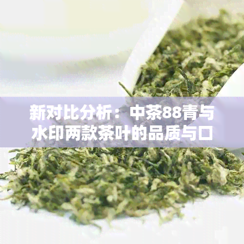 新对比分析：中茶88青与水印两款茶叶的品质与口感，寻找选择