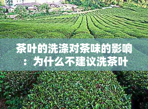 茶叶的洗涤对茶味的影响：为什么不建议洗茶叶