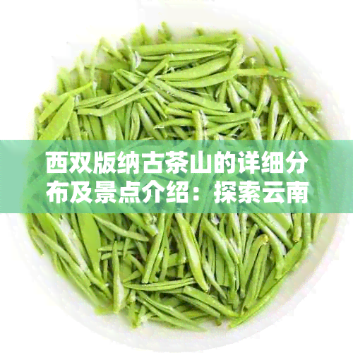 西双版纳古茶山的详细分布及景点介绍：探索云南茶叶文化的瑰宝之地