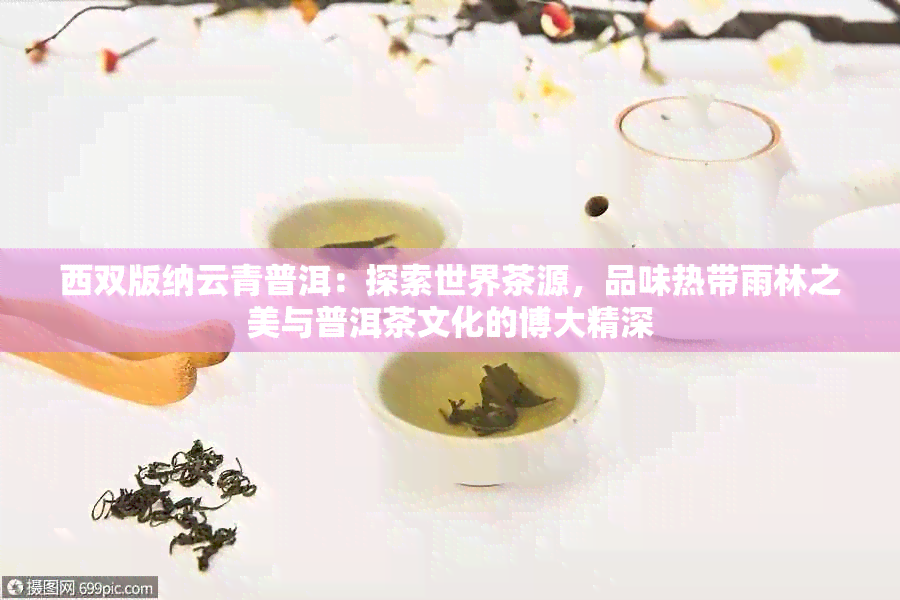 西双版纳云青普洱：探索世界茶源，品味热带雨林之美与普洱茶文化的博大精深