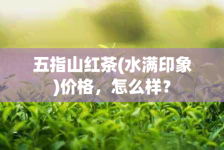 五指山红茶(水满印象)价格，怎么样？