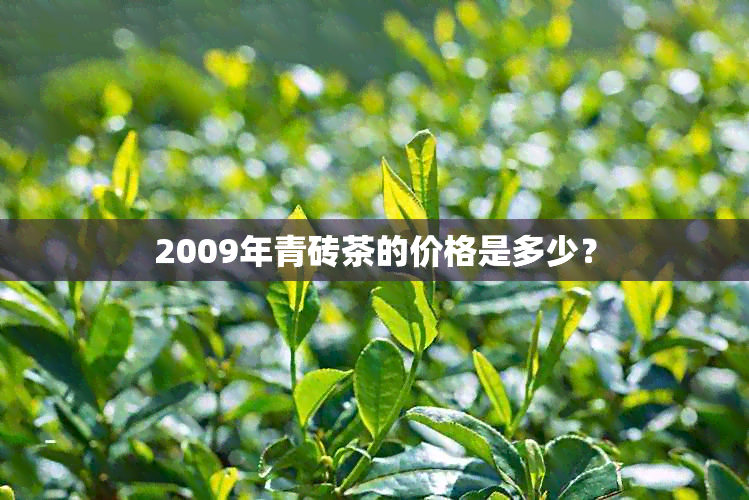 2009年青砖茶的价格是多少？