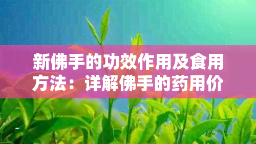 新佛手的功效作用及食用方法：详解佛手的用价值与适量摄入