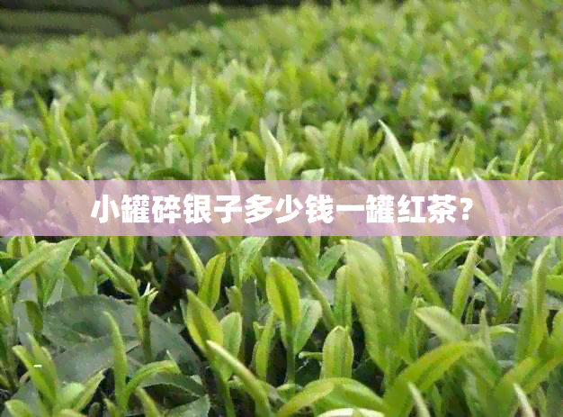 小罐碎银子多少钱一罐红茶？