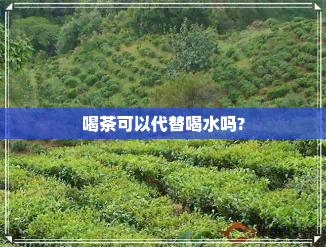 喝茶可以代替喝水吗?