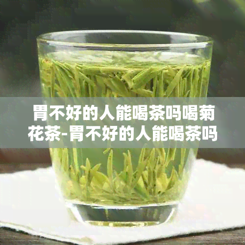 胃不好的人能喝茶吗喝菊花茶-胃不好的人能喝茶吗喝菊花茶好吗