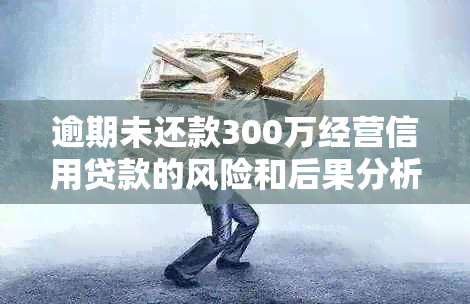 逾期未还款300万经营信用贷款的风险和后果分析