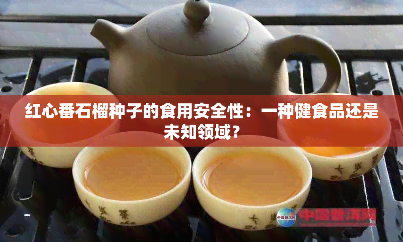 红心番石榴种子的食用安全性：一种健食品还是未知领域？