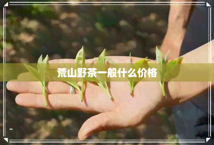 荒山野茶一般什么价格