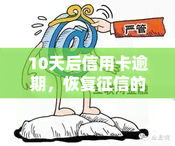 10天后信用卡逾期，恢复的有效策略和建议