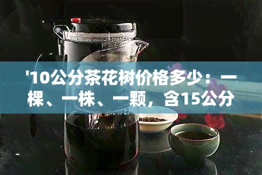 '10公分茶花树价格多少：一棵、一株、一颗，含15公分价格'