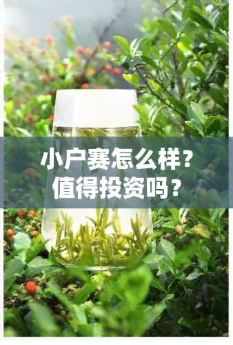 小户赛怎么样？值得投资吗？