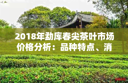 2018年勐库春尖茶叶市场价格分析：品种特点、消费者反馈与市场趋势