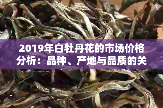 2019年白牡丹花的市场价格分析：品种、产地与品质的关键因素