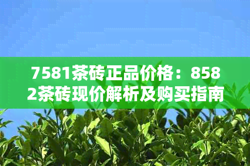 7581茶砖正品价格：8582茶砖现价解析及购买指南