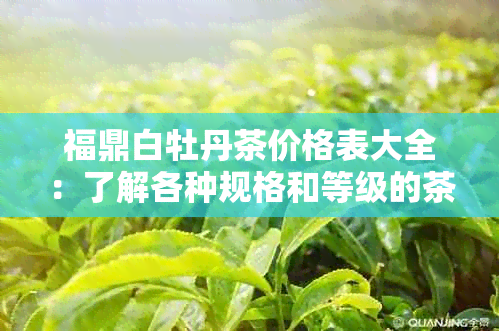 福鼎白牡丹茶价格表大全：了解各种规格和等级的茶叶定价，助您轻松选购！