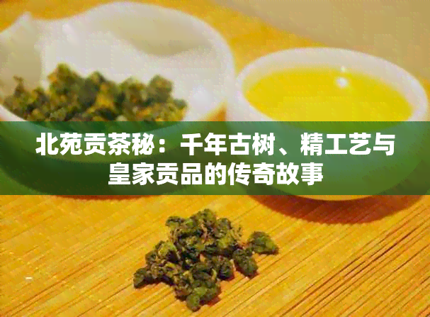 北苑贡茶秘：千年古树、精工艺与皇家贡品的传奇故事