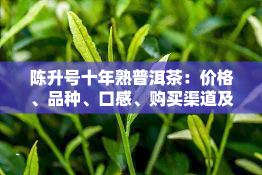 陈升号十年熟普洱茶：价格、品种、口感、购买渠道及收藏价值全面解析