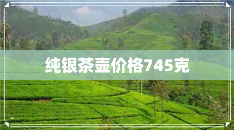 纯银茶壶价格745克