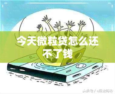 今天微粒贷怎么还不了钱