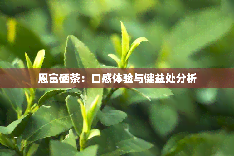 恩富硒茶：口感体验与健益处分析