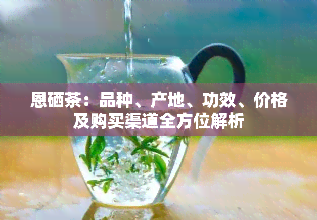 恩硒茶：品种、产地、功效、价格及购买渠道全方位解析