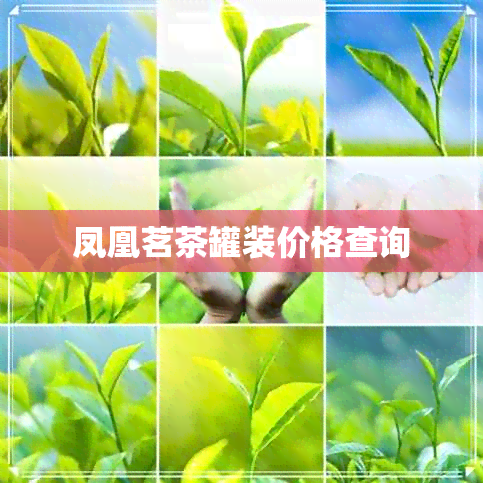 凤凰茗茶罐装价格查询